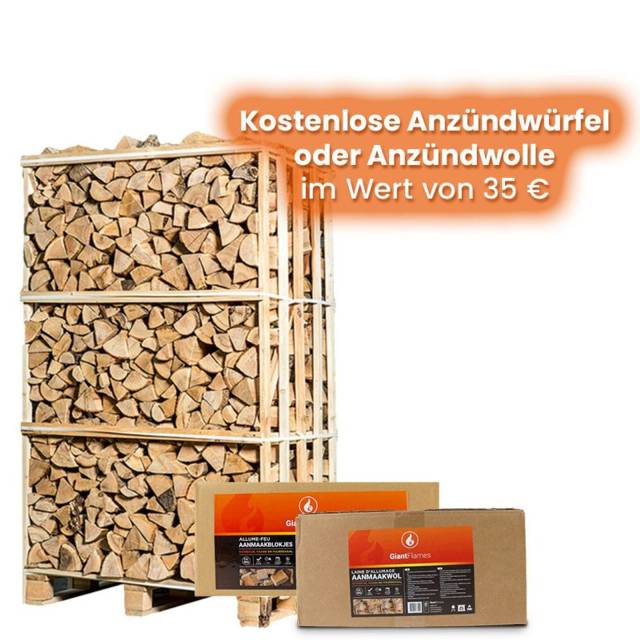 Palette Kaminholz 25cm nach Wahl 1